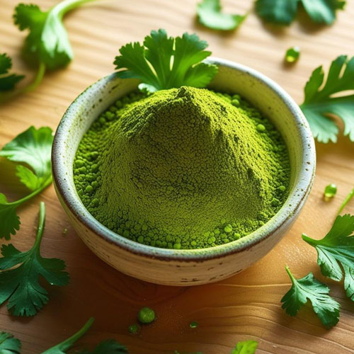 Coriander Leaves Powder